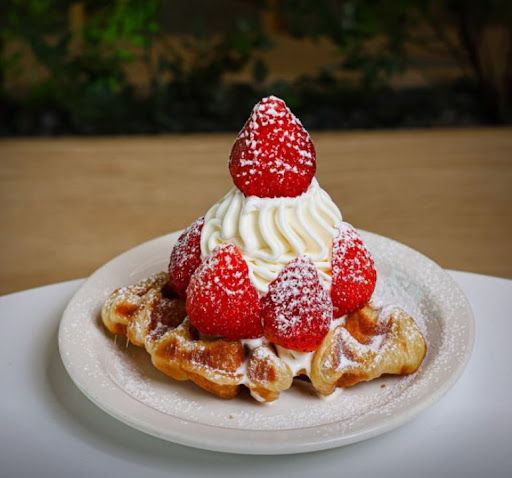 카페달곰에서 전주한옥마을카페 분위기와 메뉴를 함께 살펴보기