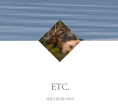 태상의 미니샵이 타운하우스 라이프 기록의 중심이 되는 이유