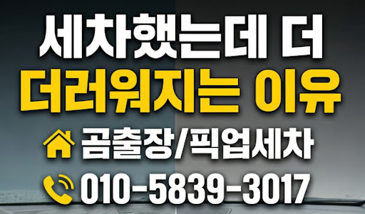 안양출장세차 곰출장세차에서 제안하는 차량 상태별 맞춤형 실내 클리닝 매뉴얼